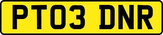 PT03DNR