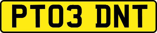 PT03DNT