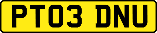 PT03DNU