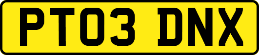 PT03DNX
