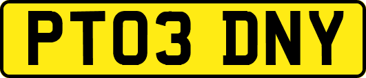 PT03DNY