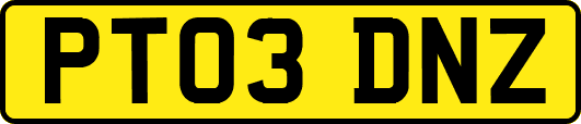 PT03DNZ