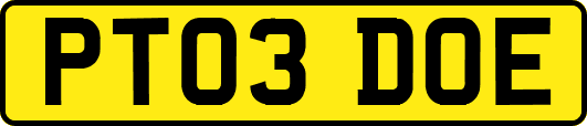 PT03DOE