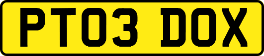 PT03DOX