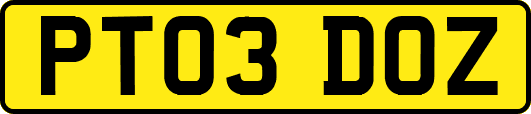 PT03DOZ