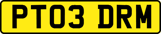 PT03DRM