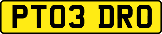 PT03DRO