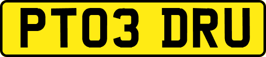 PT03DRU
