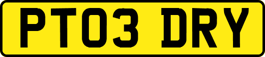 PT03DRY