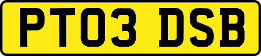PT03DSB