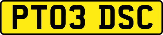 PT03DSC
