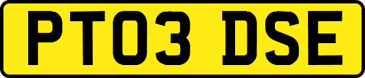 PT03DSE