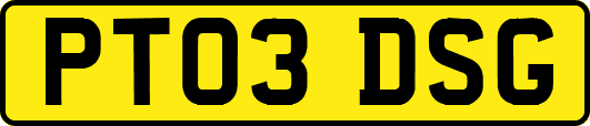 PT03DSG