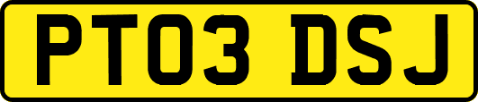 PT03DSJ