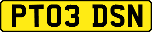 PT03DSN