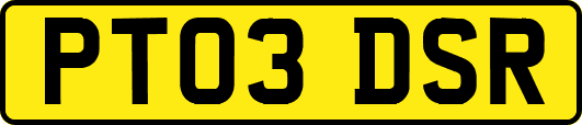 PT03DSR