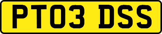 PT03DSS