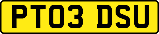 PT03DSU
