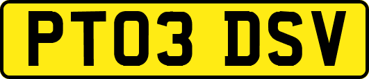 PT03DSV
