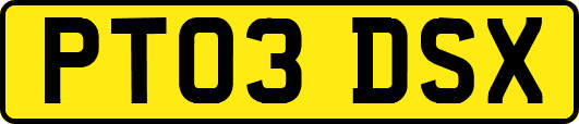 PT03DSX