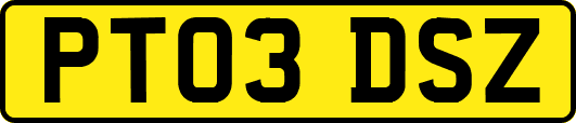 PT03DSZ