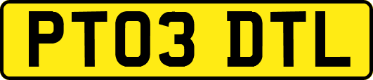 PT03DTL