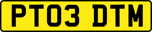 PT03DTM
