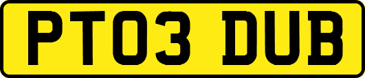 PT03DUB