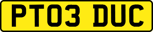 PT03DUC