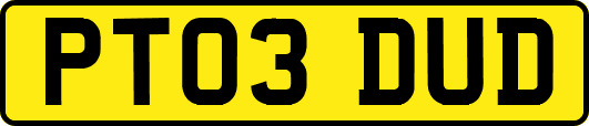 PT03DUD