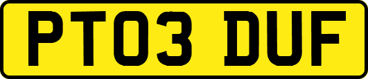 PT03DUF