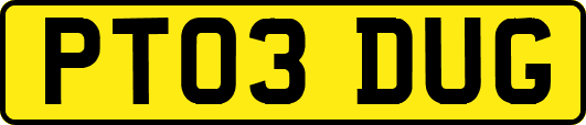 PT03DUG