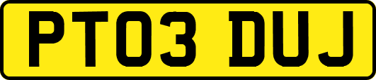 PT03DUJ