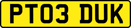 PT03DUK