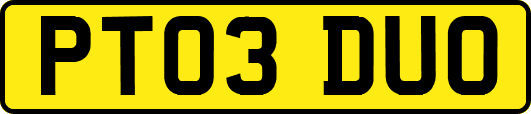 PT03DUO