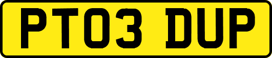 PT03DUP