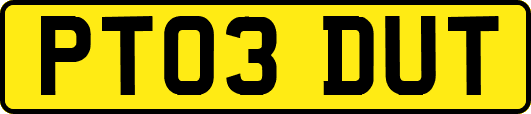 PT03DUT