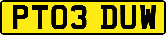 PT03DUW
