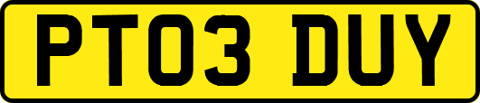PT03DUY