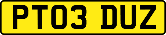 PT03DUZ