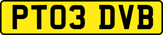 PT03DVB