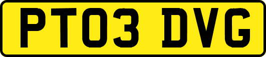 PT03DVG
