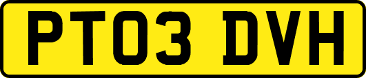 PT03DVH