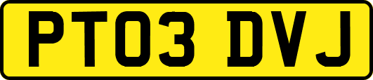 PT03DVJ