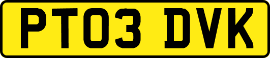 PT03DVK