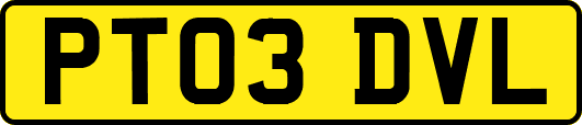 PT03DVL