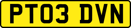 PT03DVN