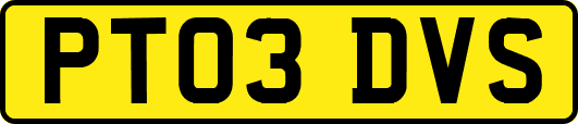 PT03DVS