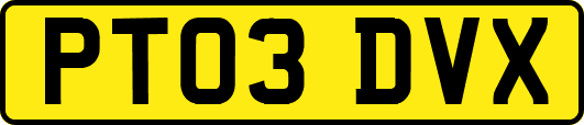 PT03DVX