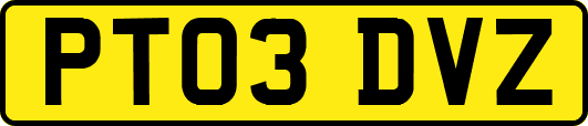 PT03DVZ